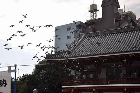 DSC_3169 DSC_3169
