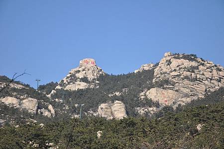 DSC_4450 DSC_4450