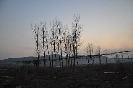 DSC_4598 DSC_4598