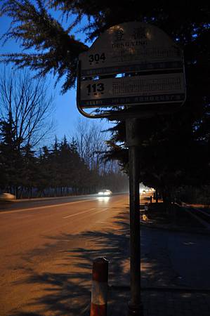 DSC_4608 DSC_4608
