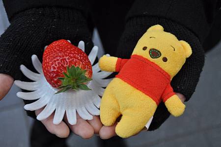 DSC_4940 DSC_4940