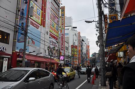 DSC_4950 DSC_4950