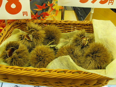 DSCF8978