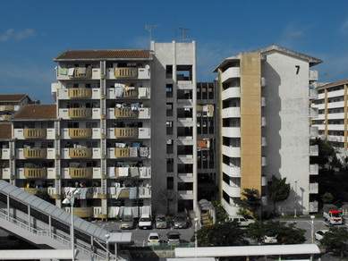 DSCF9010