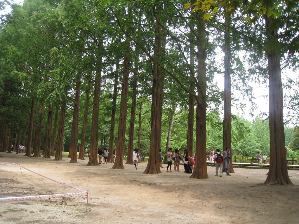 IMG_0289 IMG_0289