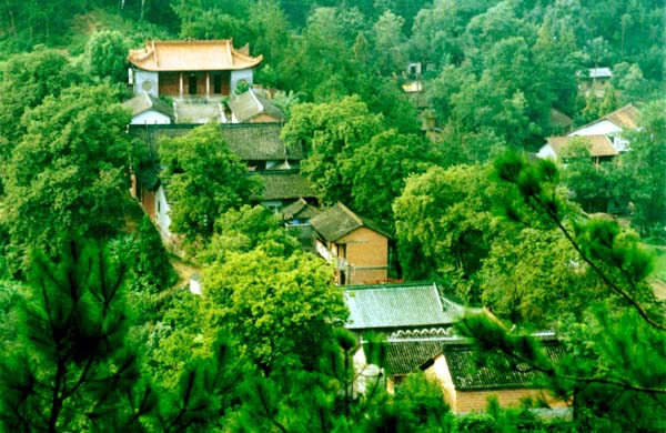 城固地母廟 城固地母廟