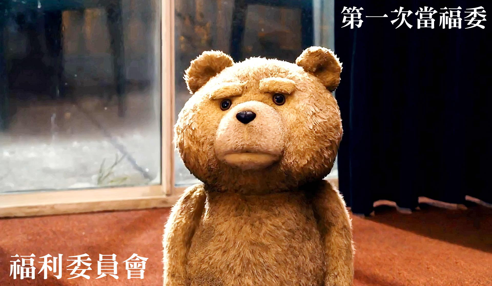 ted-bear ted-bear