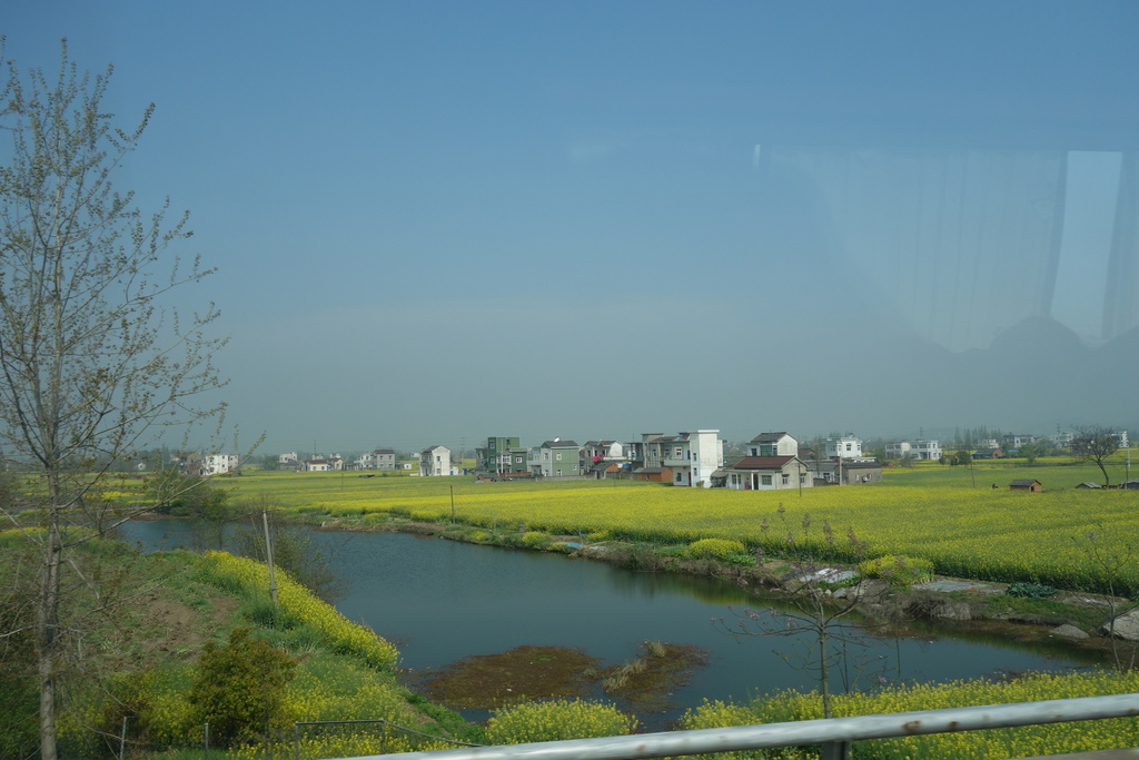 DSC05066