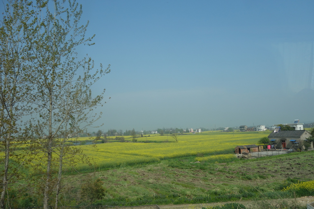 DSC05067