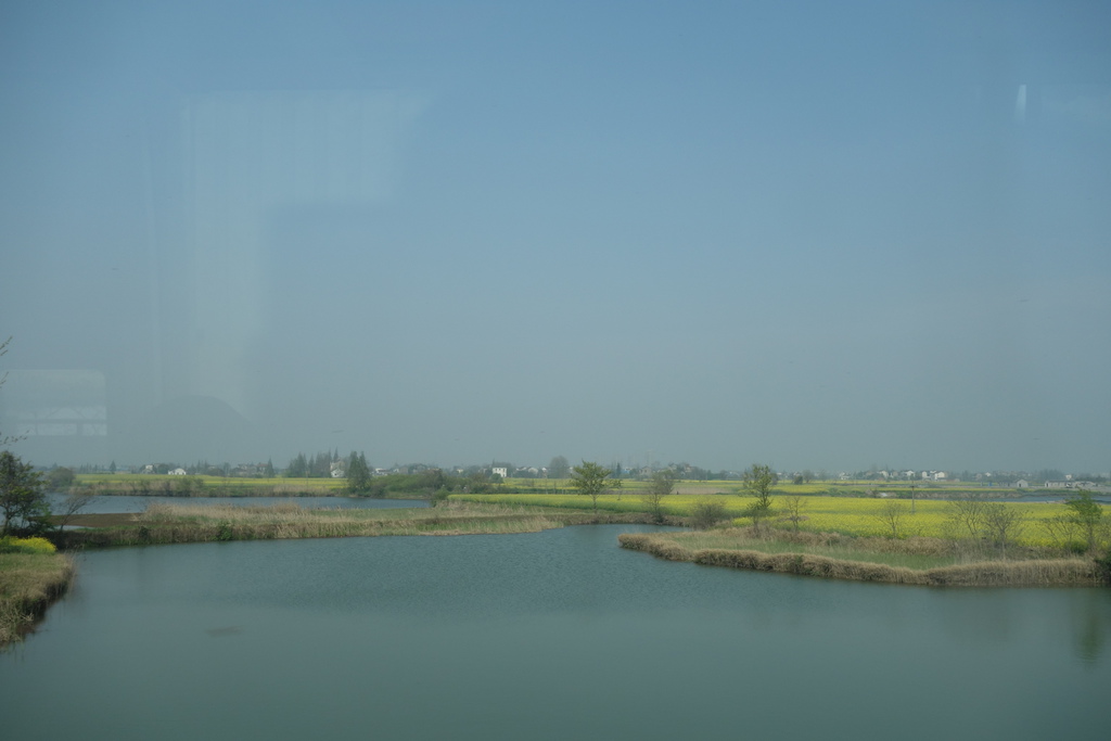 DSC05071