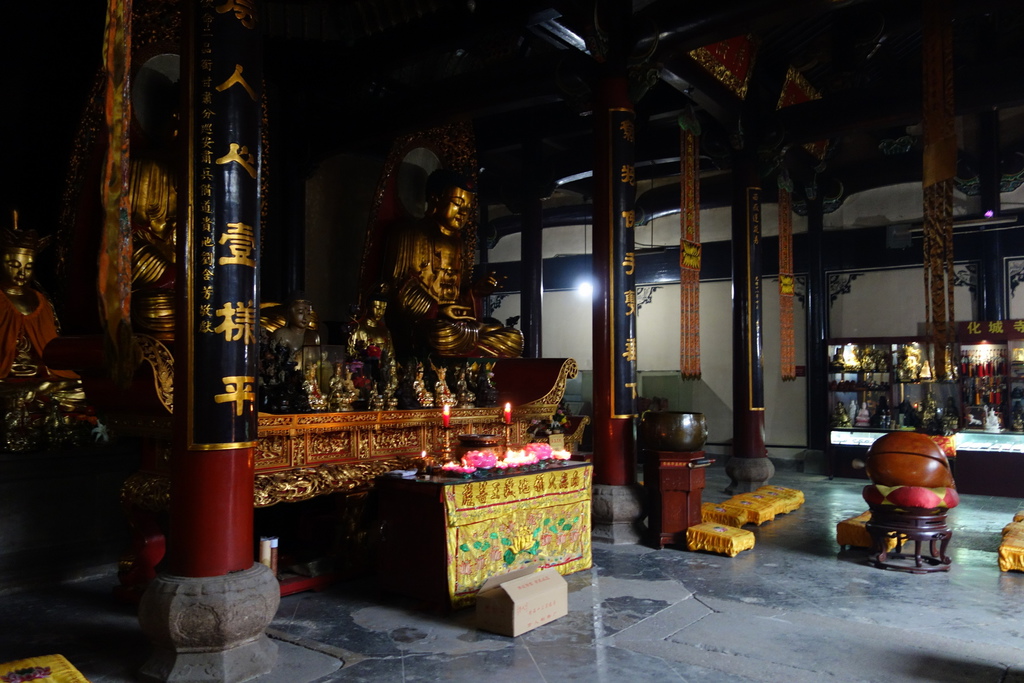 DSC05207