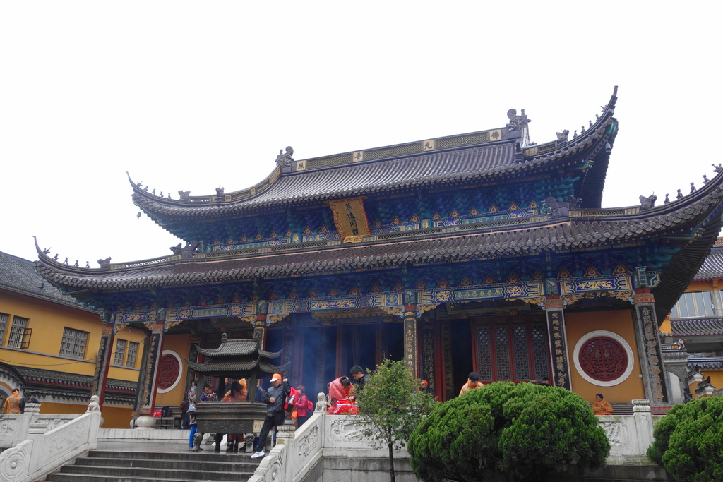 DSC06233 DSC06233