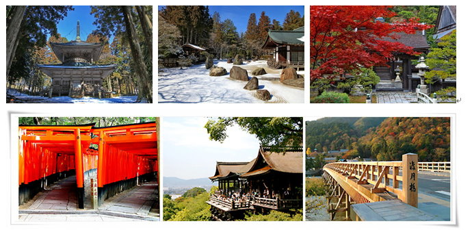 高野山-1 高野山-1