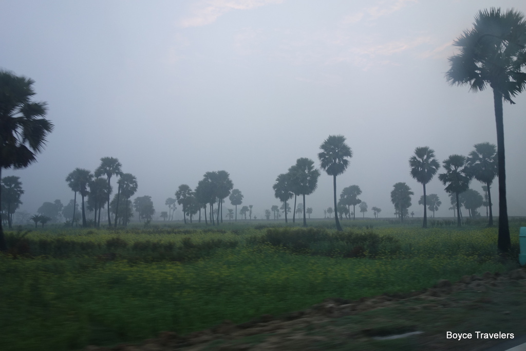 DSC01547.JPG