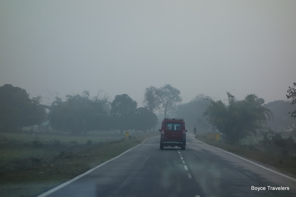 DSC01553.JPG