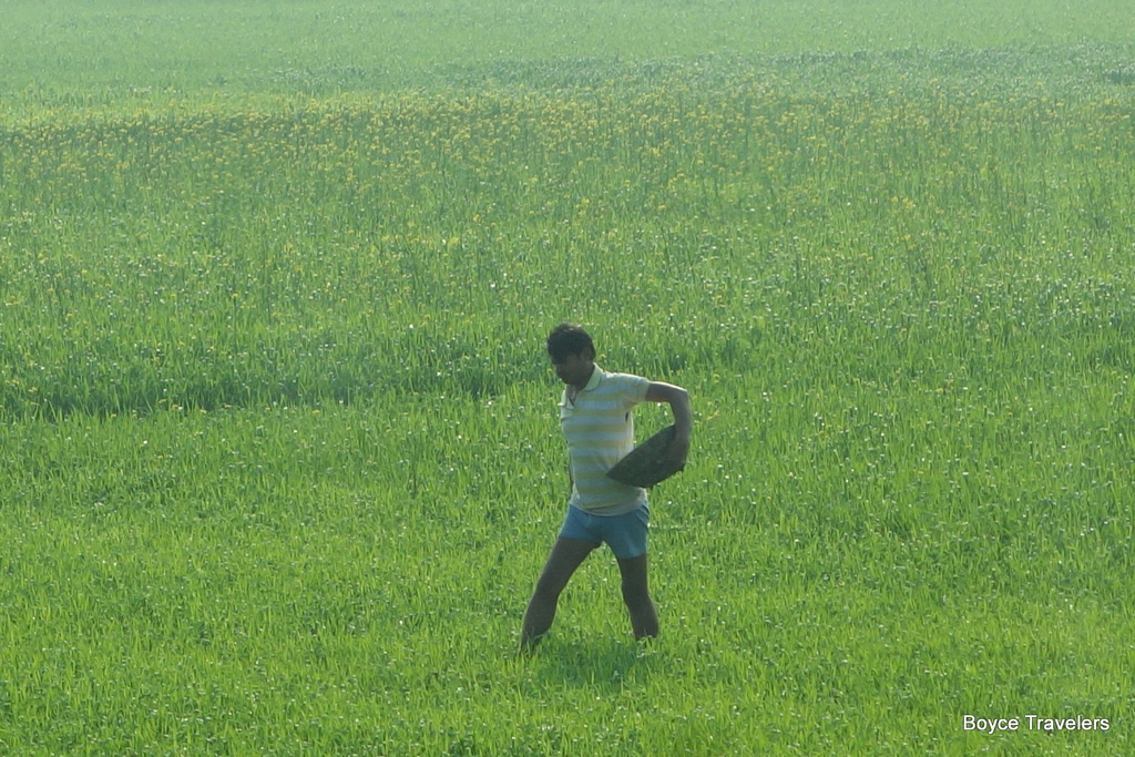 DSC02892.JPG