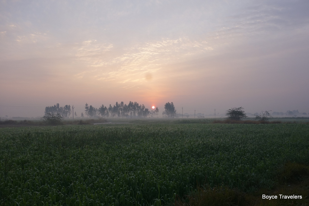 DSC03672.JPG