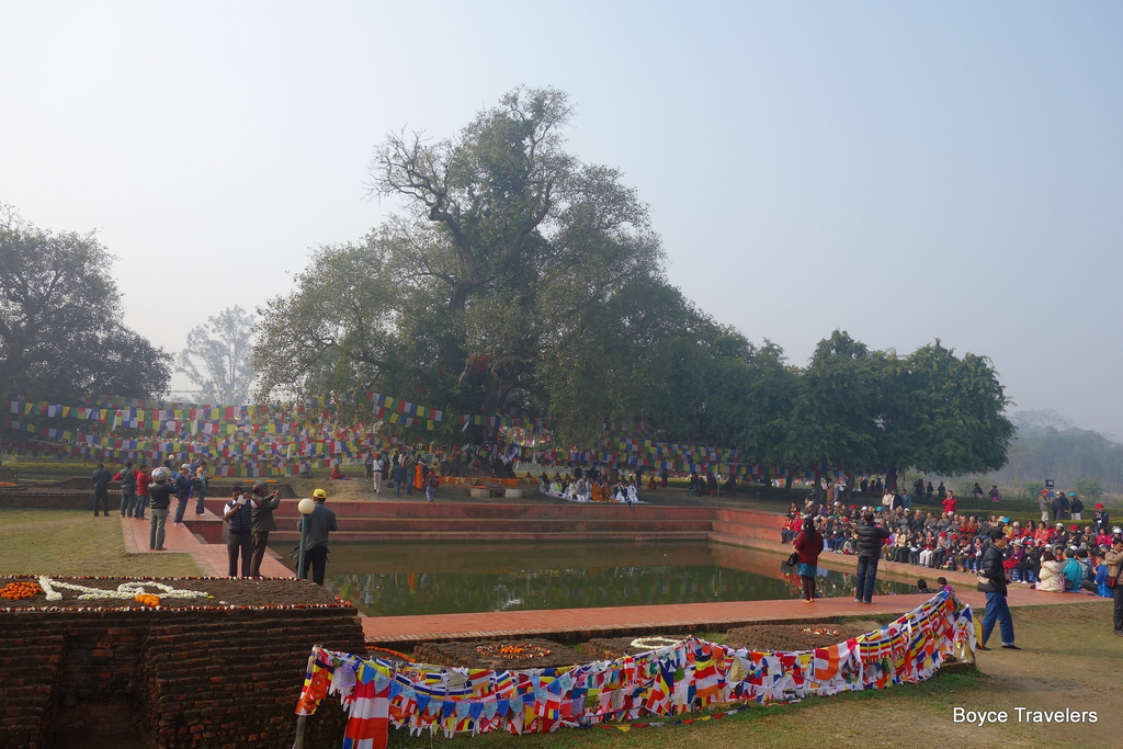 DSC03070.JPG