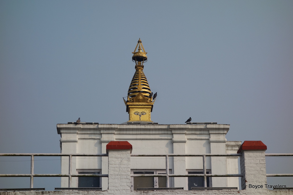 DSC03078.JPG