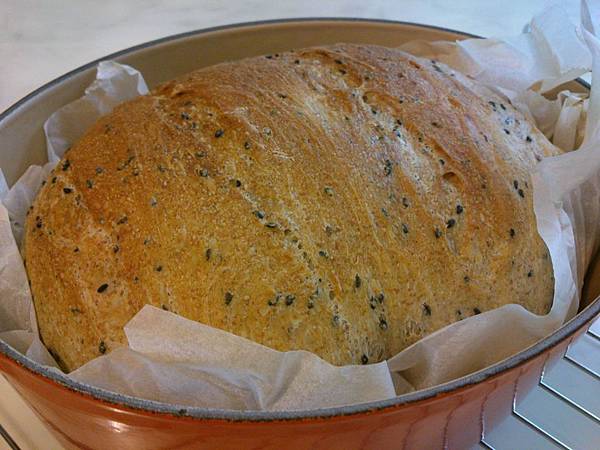 調整大小DSC_0831