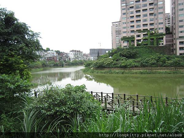 經過的金龍湖 經過的金龍湖