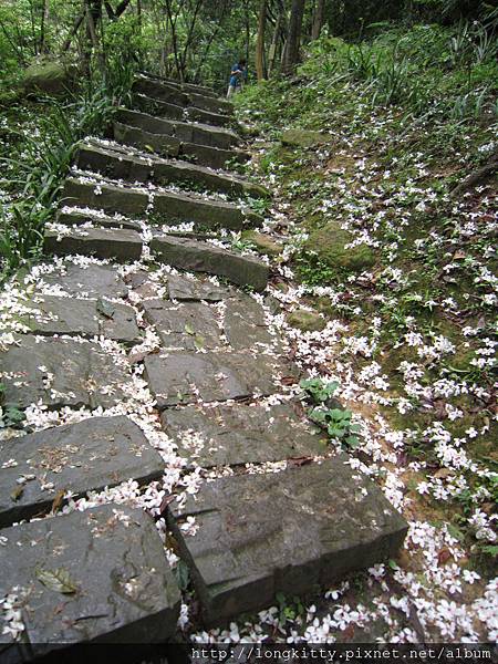 翠湖步道 翠湖步道
