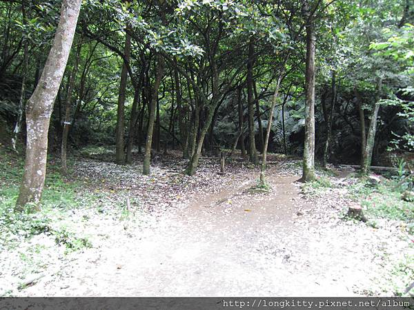 翠湖步道 翠湖步道