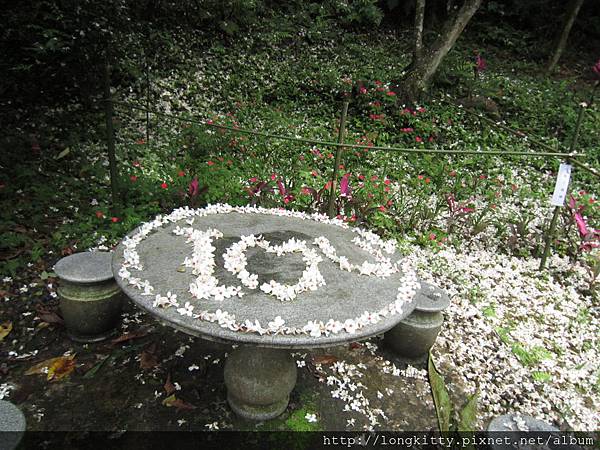 翠湖步道 翠湖步道