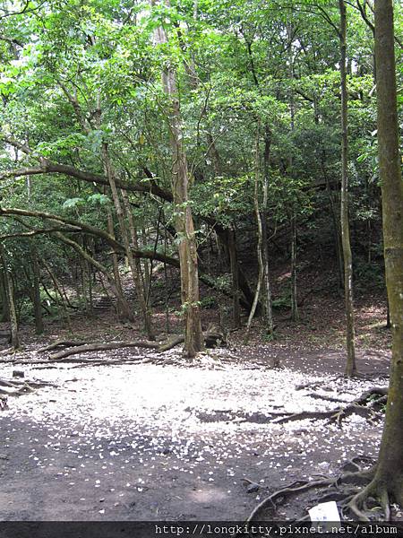 翠湖步道 翠湖步道