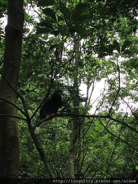 翠湖步道 翠湖步道