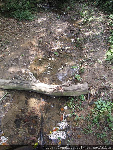 翠湖步道 翠湖步道
