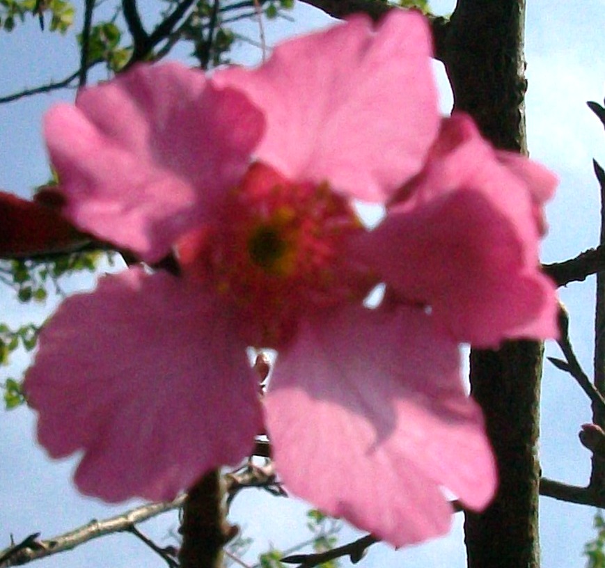 090126 010.jpg 090126 010.jpg