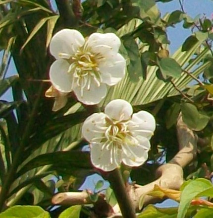 090126 013.jpg 090126 013.jpg