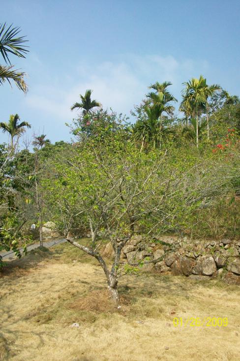 090126 019.jpg 090126 019.jpg