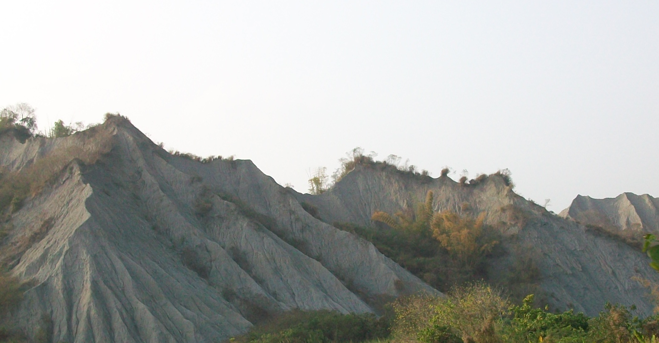 090126 046.jpg 090126 046.jpg