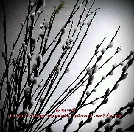 x shot_1300856271217c.jpg