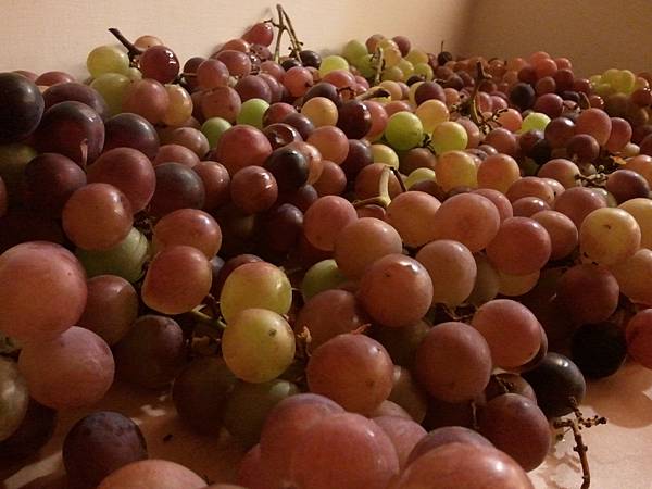 2012-07-05 19.25.11 2012-07-05 19.25.11