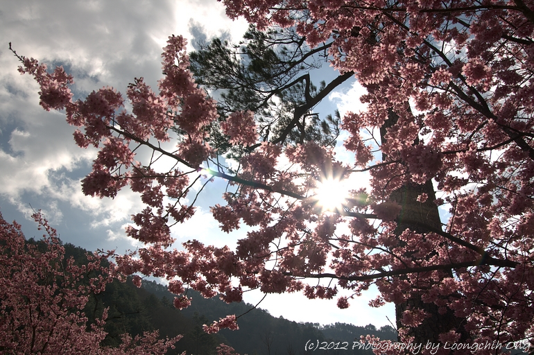 IMG_057 IMG_057