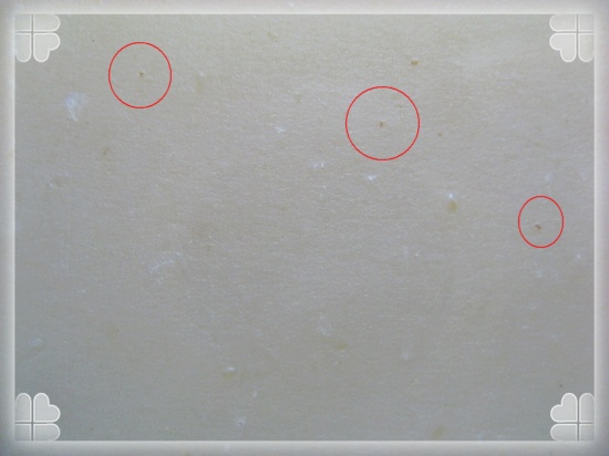 IMG_0731.JPG IMG_0731.JPG