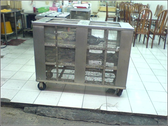 蛇店之一.JPG 蛇店之一.JPG