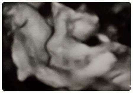 2014-01-03-18-51-51_deco