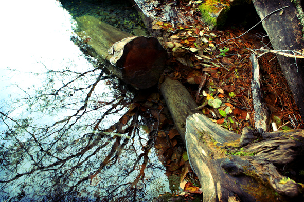 jiuzhaigou12.JPG jiuzhaigou12.JPG