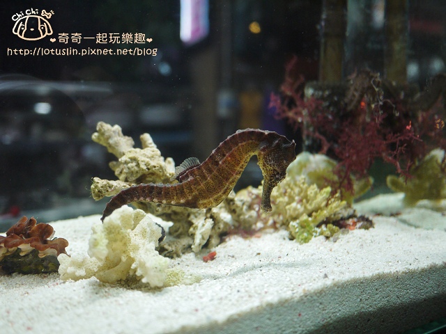 P1510904.jpg