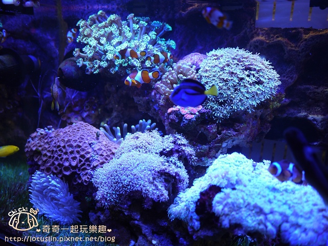 P1510922.jpg