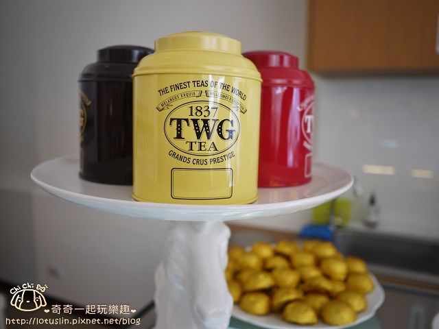 P1570867.jpg