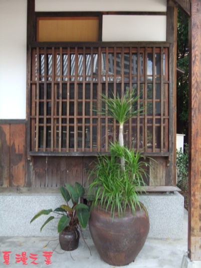 DSCF4161後院一角