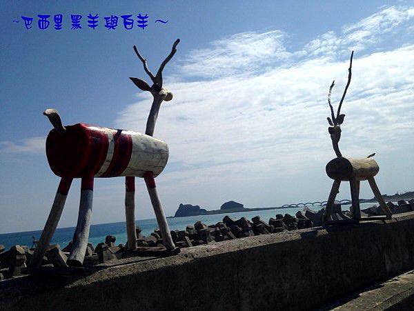 巴西里海岸 黑白羊