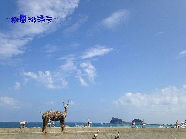 巴西里海岸 010揪團