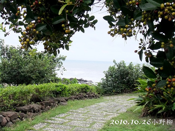 台東行 177.jpg 台東行 177.jpg