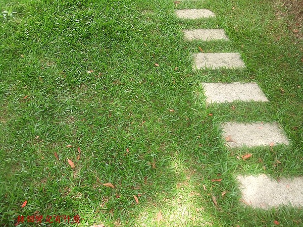 熊空 124首圖.jpg 熊空 124首圖.jpg